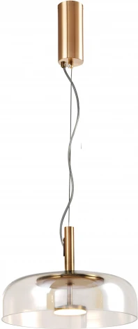 Подвесной светильник Favourite Brandy 4258-1P (LED, 220V, на тросе)