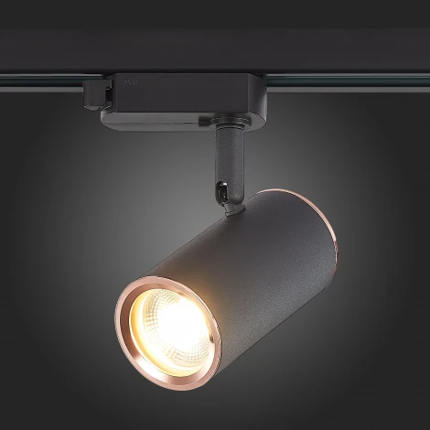 Трековый светильник ST Luce Cromi ST301.426.01 (220V, круглые)
