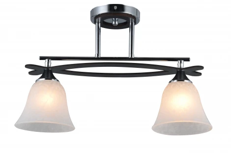 Потолочная люстра J-Light Nippa 1527/2C