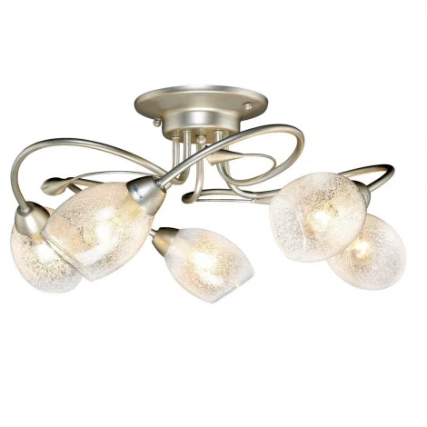 Максисвет 1-8793-5-YNBR E14