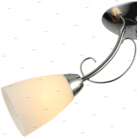 Потолочная люстра J-Light Gala 1276/2C