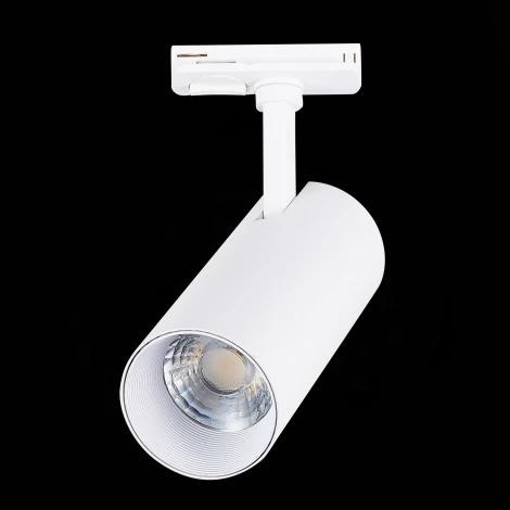 Трековый светильник ST Luce Mono ST350.546.20.36 (LED, 220V, круглые, IP22)