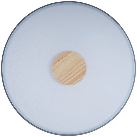 Потолочный светильник круглый Loft IT Axel 10003/24 Grey (LED, 220V, круглые)