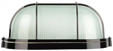 Настенно-потолочный светильник ЭРА НБП 04-100-002 НБП 04-100-002 черный