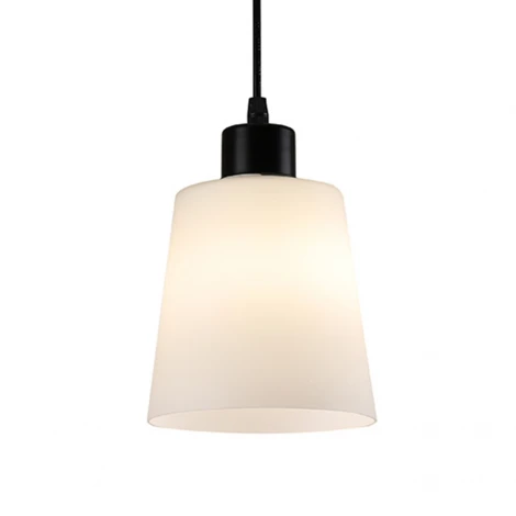 Подвесной светильник Escada Clarity ES0000041 120004/1P E27*60W Black