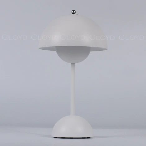 Настольная лампа светодиодная с аккумулятором Cloyd Erma 30135 (регулировка яркости, 220V)