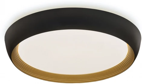 Потолочный светильник Lumina Deco Paneli LDC 8062-48W BK