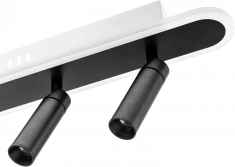 Спот Ritter Lanterna 51602 0