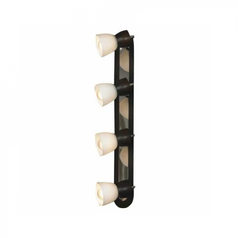 Настенно-потолочный светильник Lussole Messina LSL-8209-04