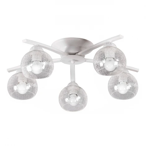 Люстра потолочная Day&Night, 5 плафонов, белый с прозрачным