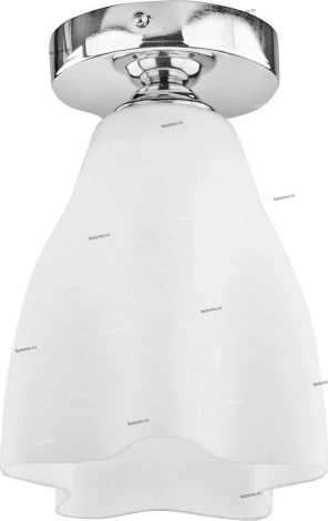 Потолочный светильник Arte Lamp Canzone A3469PL-1CC