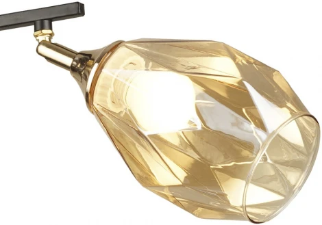 Потолочная люстра Wedo Light Deylna 66749.01.69.03