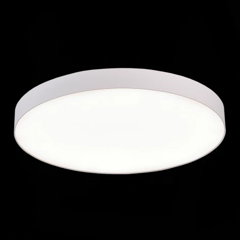 Потолочный светильник круглый ST Luce ST606.542.96 (LED, 220V, круглые)