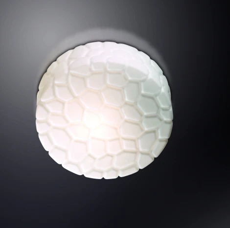 Настенно-потолочный светильник Odeon Light Luno 2246/2A