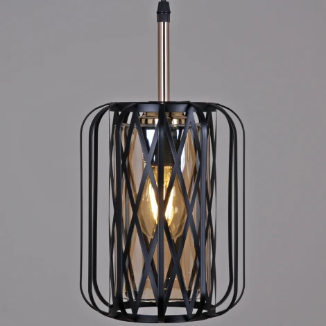 Подвесной светильник Reluce 06003-0.9-01 BK (220V, на проводе)