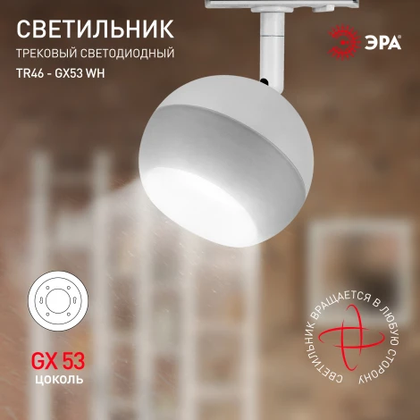 Трековый светильник ЭРА TR46 - GX53 WH (220V, шар)