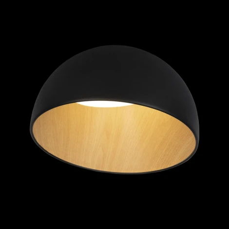 Потолочный светильник круглый Loft It Egg 10197/350 Black (LED, 220V, круглые)