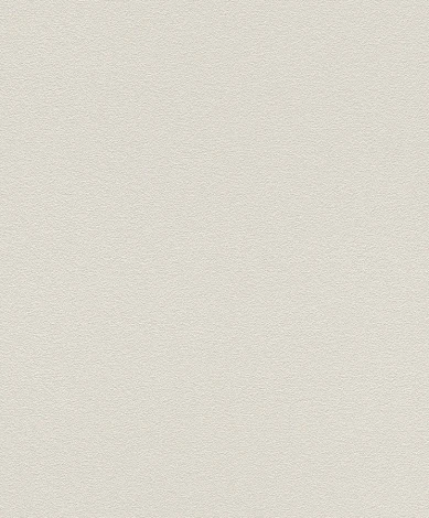 Обои виниловые & Teens II 10,05 x 0,53 м Rasch Kids &amp 700343