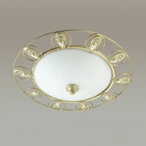 Настенно-потолочный светильник Odeon Light Kanti 3483/2C