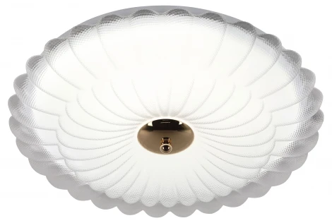 Потолочный светильник светодиодный ЭРА SPB-6 Chester 48W-5K WH+GD