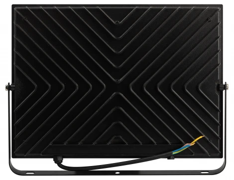 Прожектор уличный светодиодный ЭРА LPR-06 LPR-062-0-65K-200