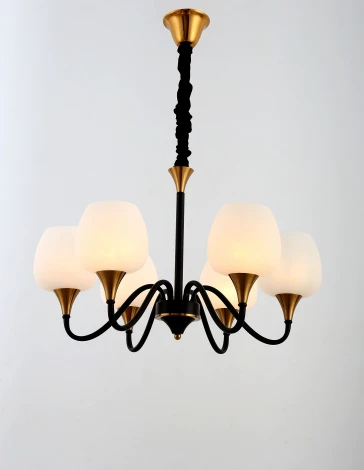 Подвесная люстра Rivoli Emarita 2049-206