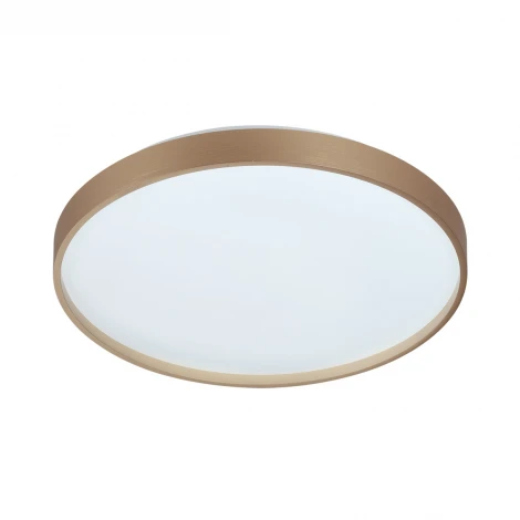 Настенно-потолочный светильник Sonex Gaby 7783/DL пластик/белый/золото LED 48Вт пульт ДУ