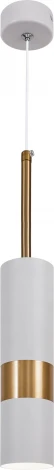 Подвесной светильник ЭРА PL33 WH/GD (220V, на проводе)