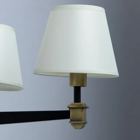 Потолочная люстра MW-Light ДельРей 700013408