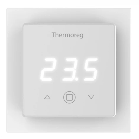 Терморегулятор Thermoreg TI-300