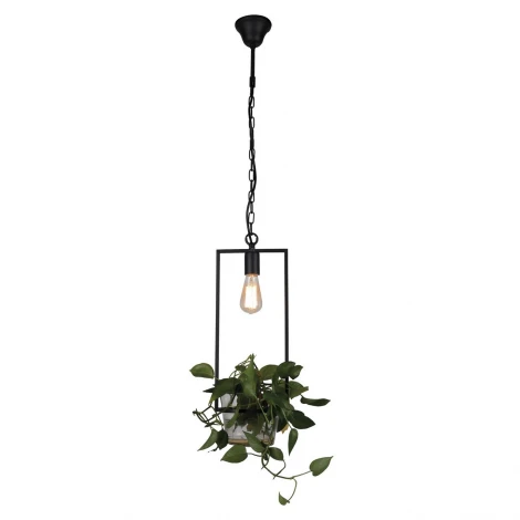 Подвесной светильник Favourite Situla 1975-1P (220V, на цепи)