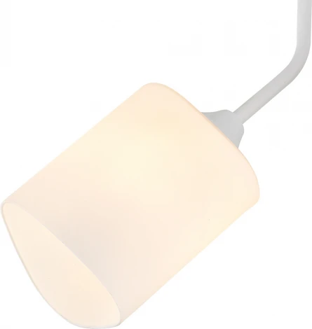 Потолочная люстра Escada Ipomea 2102/3P 3x60Вт E27, металл/стекло, белый, матовый плафон (220V)