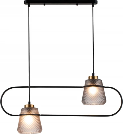 Подвесной светильник Astratto V000157 (11016/2P Black) (220V, на проводе)