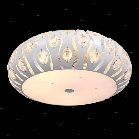 Потолочный светильник ST Luce Calma SL793.502.05