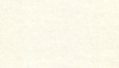 Обои виниловые Marburg Padua Classic 57315 10,05 x 1,06 м