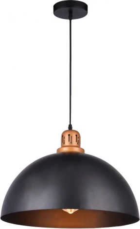 Подвесной светильник Arte Lamp Eurica A4249SP-1BK