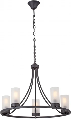 Подвесная люстра Vitaluce V1861-1/5 (220V, на цепи, круглые)