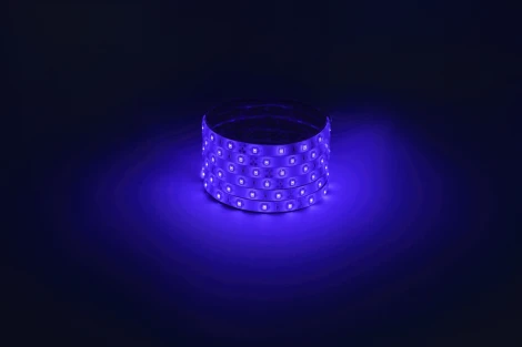 Светодиодная лента 12В синий 5м ЭРА LS2835-4,8-60-12-B-IP65-1 year-5m