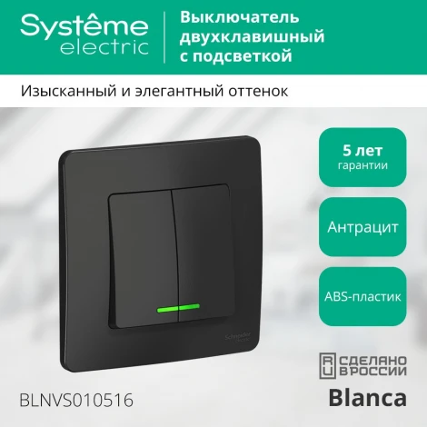 Выключатель встраиваемый двухклавишный с подсветкой (антрацит) Systeme Electric Blanca BLNVS010516