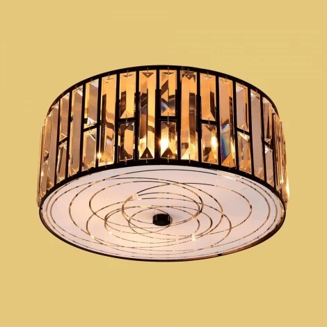 Потолочный светильник круглый Citilux Гермес CL331151 (220V)