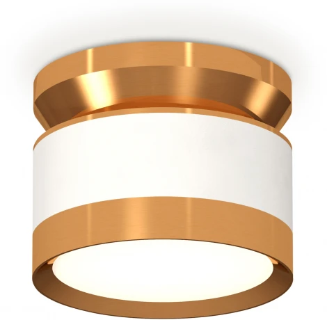 Накладной точечный светильник Ambrella Techno Spot XS8101060 (220V, круглые)