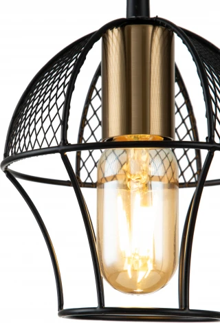 Подвесной светильник Pallo V000186 (10011/1P Black) (220V, на проводе)