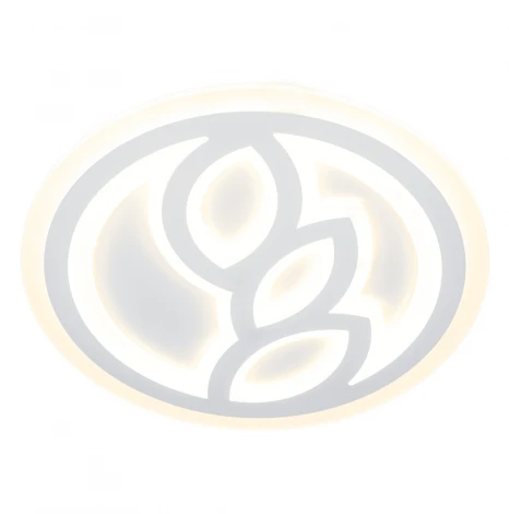 Потолочный светильник круглый Мелодия Света SS1L 000024500