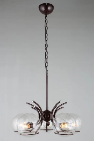 Подвесная люстра Omnilux 288 OML-28803-05