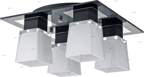 Потолочный светильник Lussole Lente LSC-2507-04 (220V, IP21)