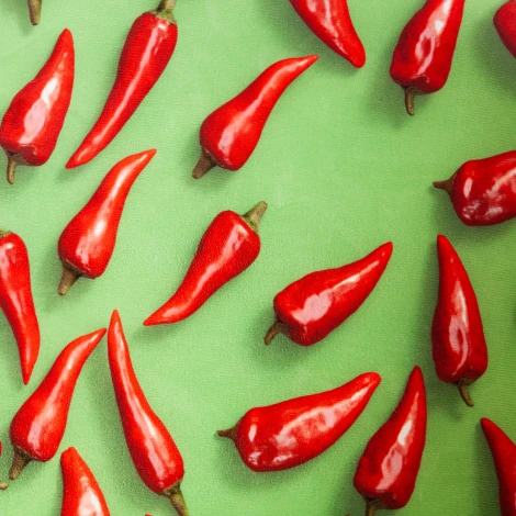 Кресло MELODY ткань/флок, олива, Botanica 03 pepper/23 Tetchair 19027