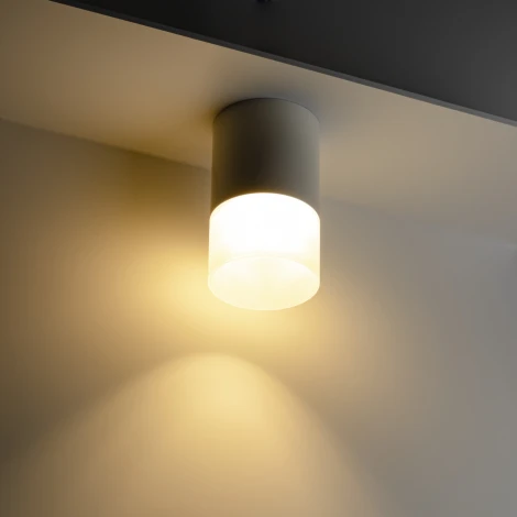 Накладной светильник Ritter Essen 52061 0