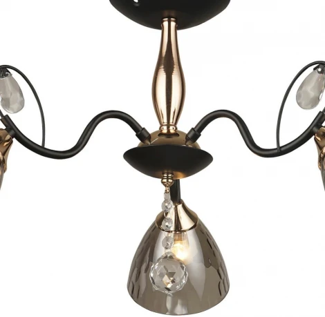 Потолочная люстра Wedo Light Montello 66669.01.69.03