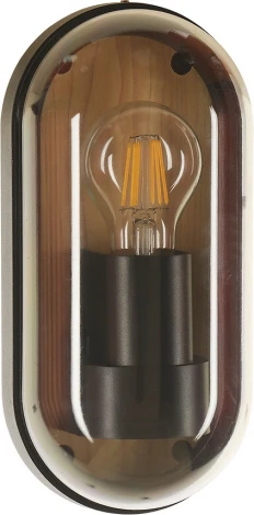 Настенный уличный светильник Arte Lamp A2481AL-1BR (220V, IP65)