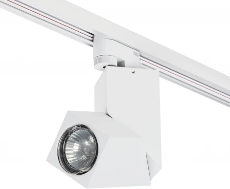 Трековый светильник Lightstar Illumo A1T051056 (220V)